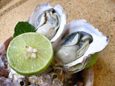 Taze çiğ istiridye.