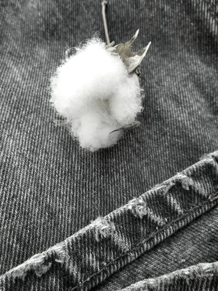 Coton sur jean vintage — Photo