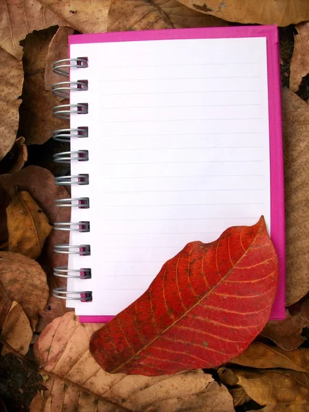 Caderno de papel — Fotografia de Stock