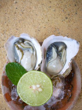 Taze çiğ istiridye.