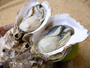 taze istiridye yakın çekim