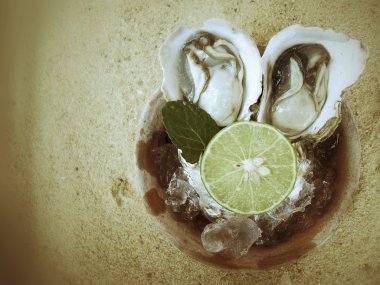 Taze çiğ istiridye.