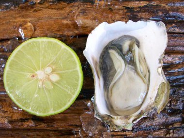 Taze çiğ istiridye.