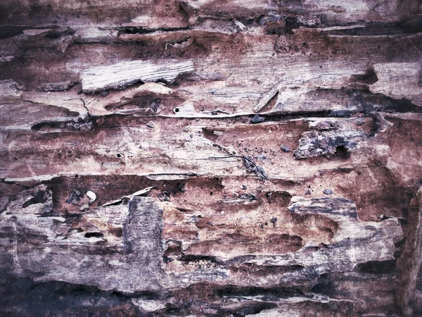 Старинное старое дерево — стоковое фото