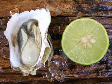Taze çiğ istiridye. 