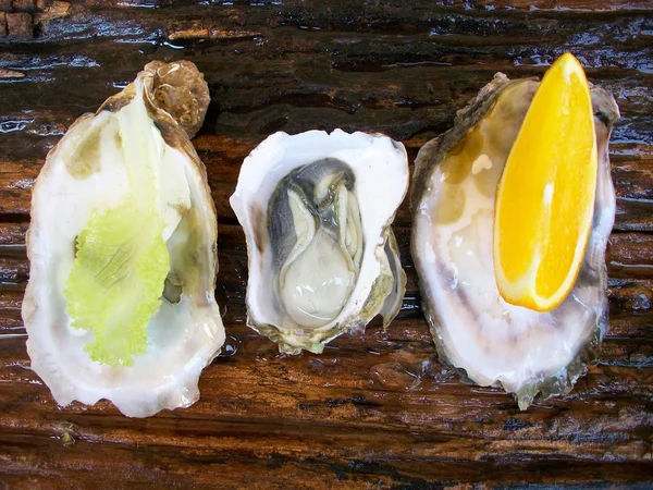 Close up de ostras frescas — Fotografia de Stock