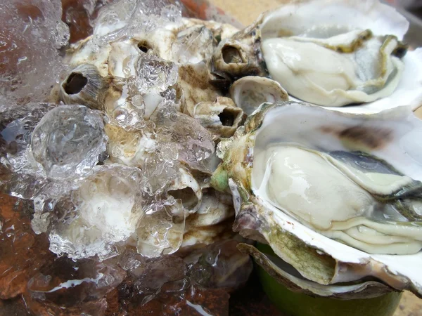 Ostras frescas crudas — Foto de Stock