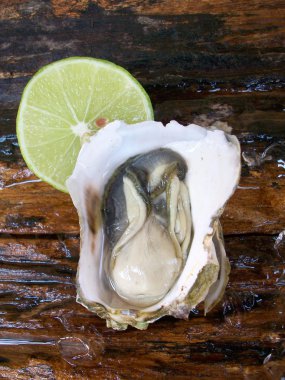 Taze çiğ istiridye. 