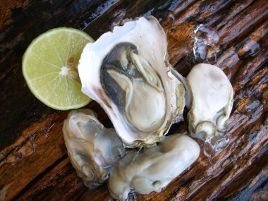 Taze çiğ istiridye. 