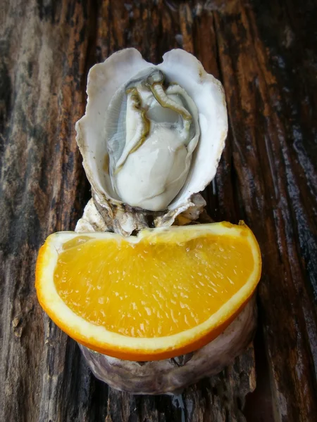 新鲜生牡蛎 — 图库照片