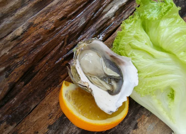 新鲜的牡蛎生菜的特写 — 图库照片