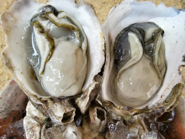 Fresh raw oysters — Stock Photo, Image