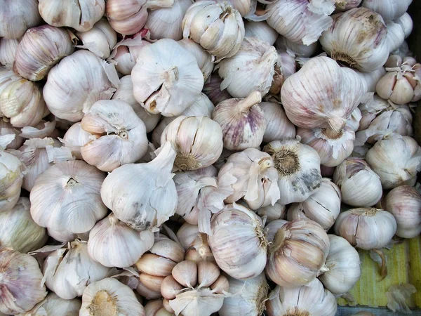 Garlic — Stock Photo, Image