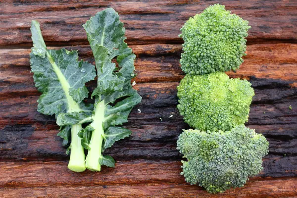 Verse groene broccoli — Stockfoto