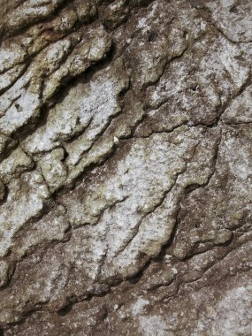 kahverengi taş zemin