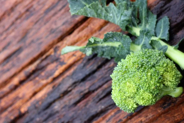 Verse groene broccoli — Stockfoto