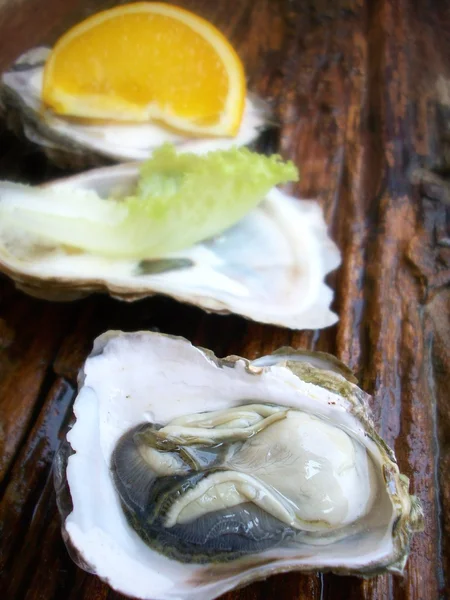 新鮮な牡蠣のクローズ アップ — ストック写真