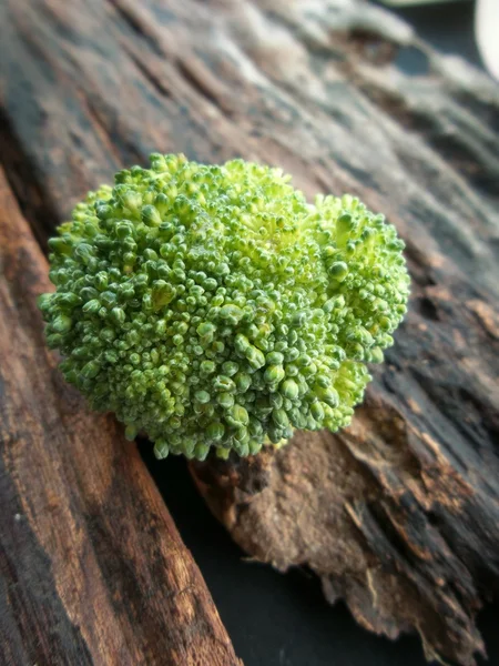 Verse groene broccoli — Stockfoto