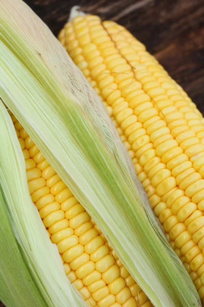 Fresh corn — Stock Photo, Image