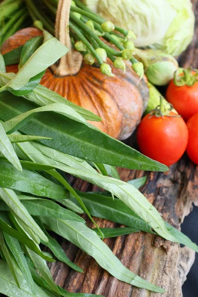 Mischung aus frischem Gemüse — Stockfoto