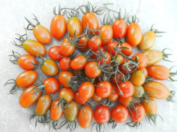 Φρέσκες ντομάτες — Φωτογραφία Αρχείου