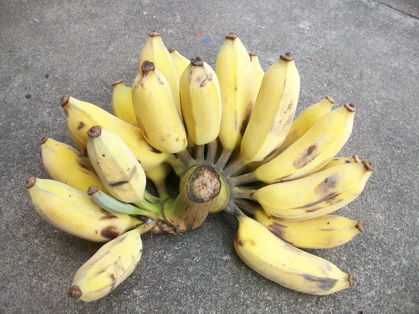 Banane mature — Foto Stock