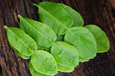 Kafir kireç yaprakları 