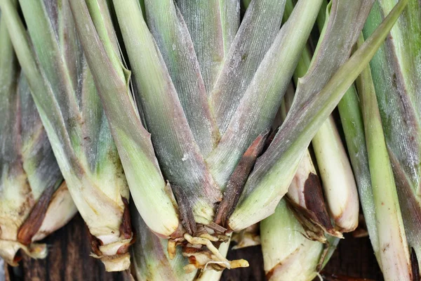 Lemon grass — Stock Photo, Image