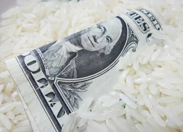 Rice grain and dollar