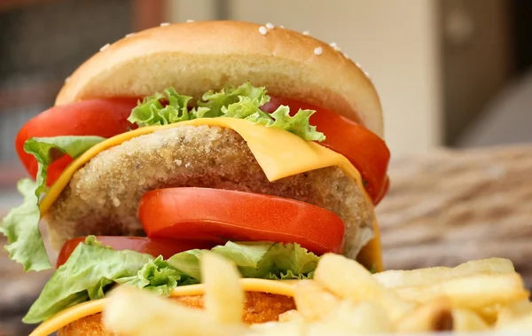 Smakelijke hamburger — Stockfoto