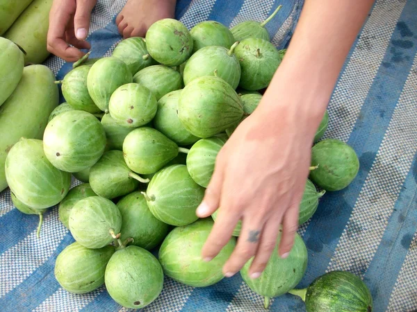 Watermelon — Stock Photo, Image