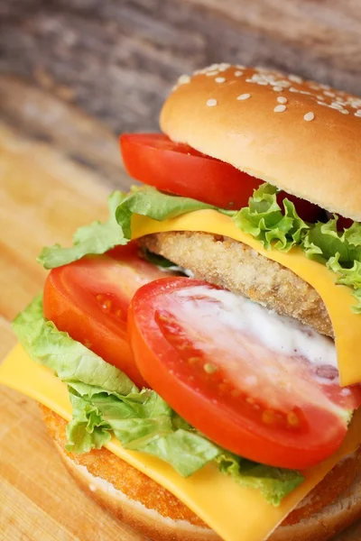 Smakelijke hamburger — Stockfoto