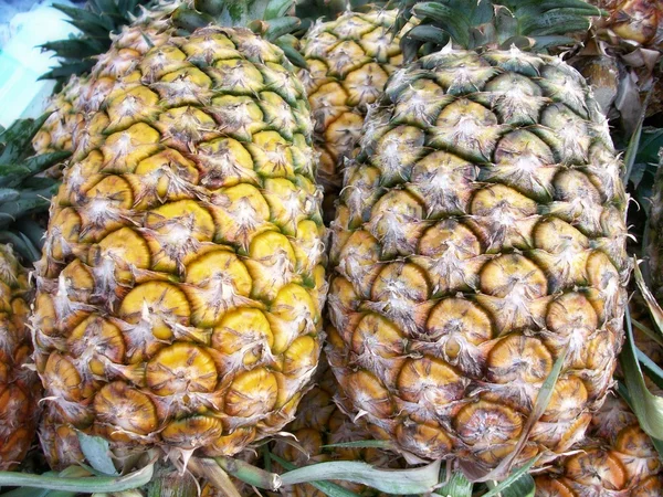 Pineapple — Stock Photo, Image