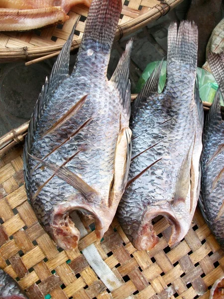 Mnoho suchých ryb — Stock fotografie