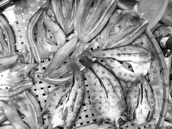 多くの乾燥した魚 — ストック写真
