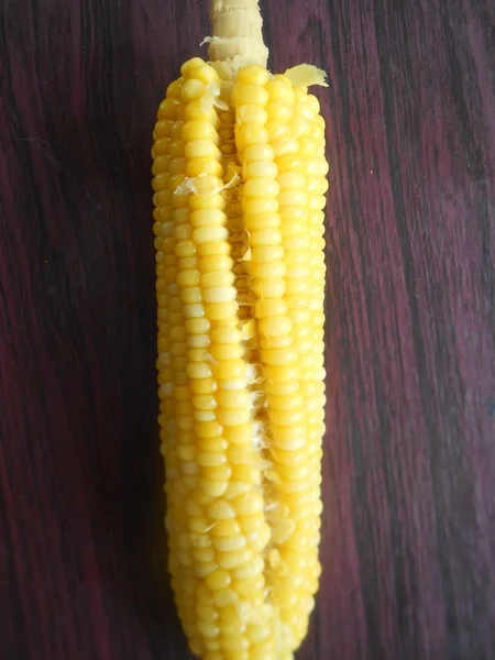 Fresh corn — Stock Photo, Image