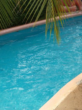 güzel bir Yüzme Havuzu.