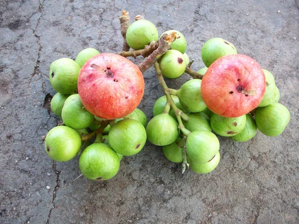 Fichi freschi — Foto Stock