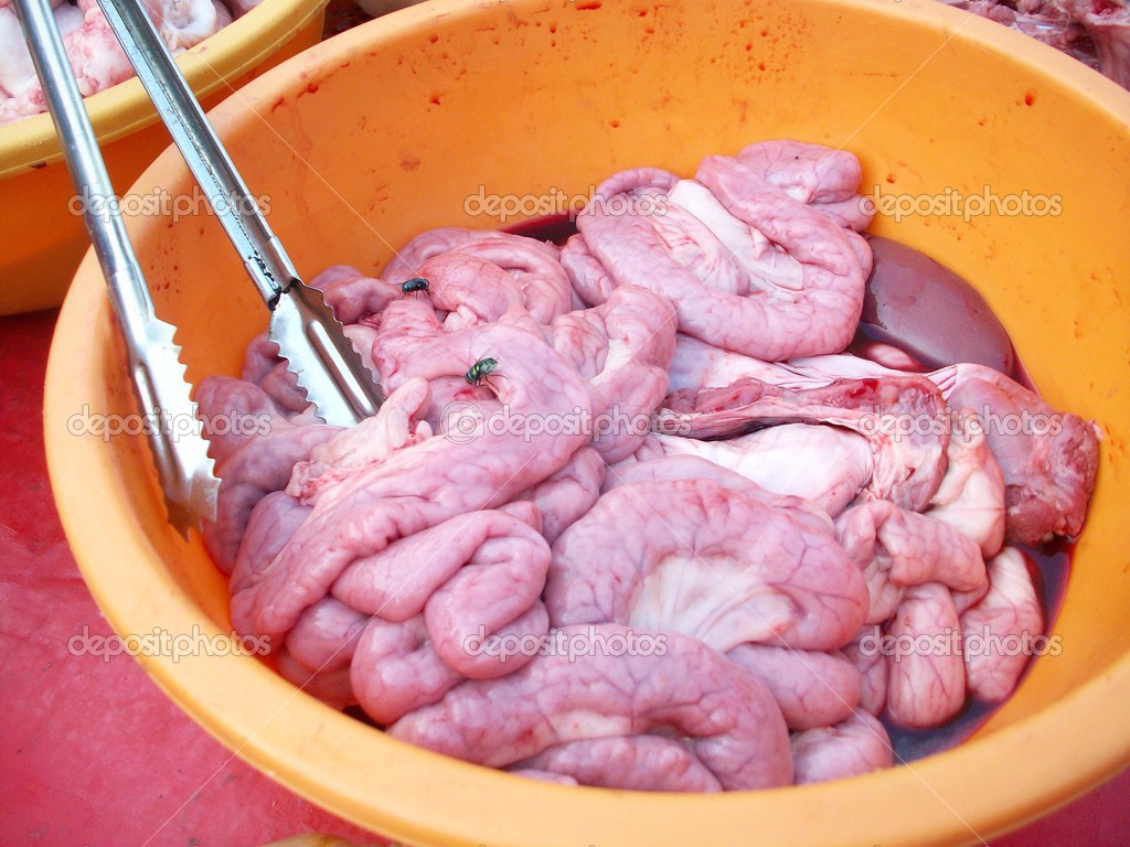 depositphotos_42853353-stock-photo-raw-chitterlings.jpg