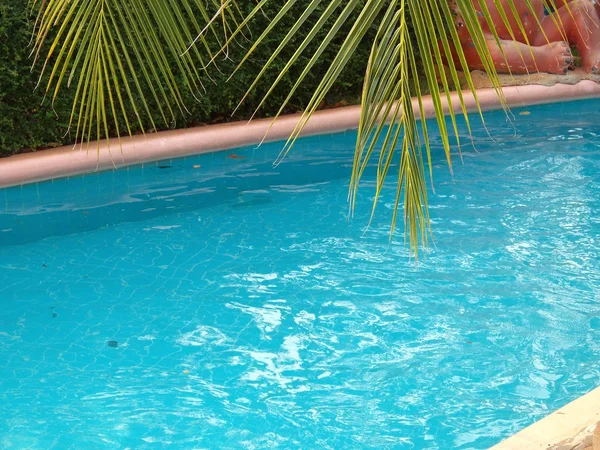 Hermosa piscina . —  Fotos de Stock