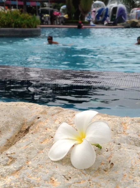 Piscina blu dettaglio acqua increspata — Foto Stock