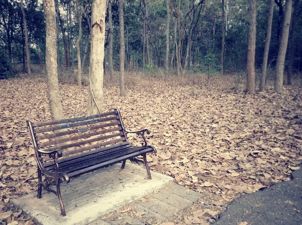 Bench chair — Stock Photo, Image