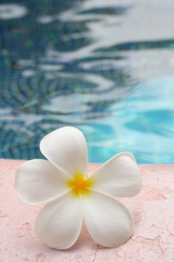 Mavi yüzme havuzu dalgalı su ayrıntıları