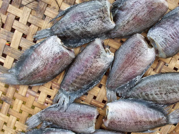 Un montón de pescado seco —  Fotos de Stock