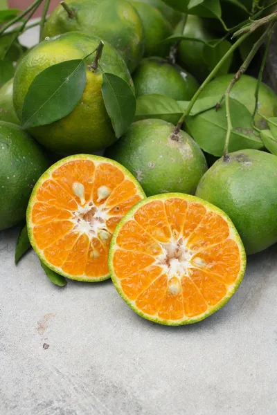 Ripe oranges fruits — Stock Photo, Image