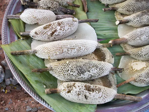 Bienenwaben — Stockfoto