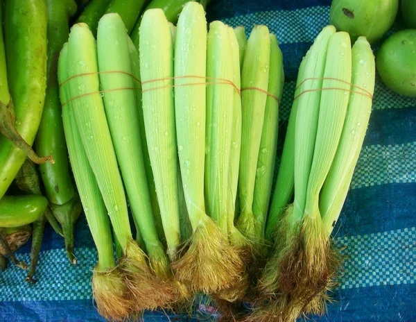 Fresh corn — Stock Photo, Image