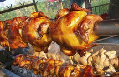 ızgara tavuk 