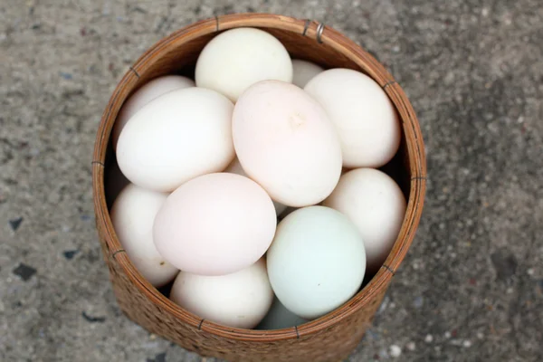 Eggs — Stock Photo, Image