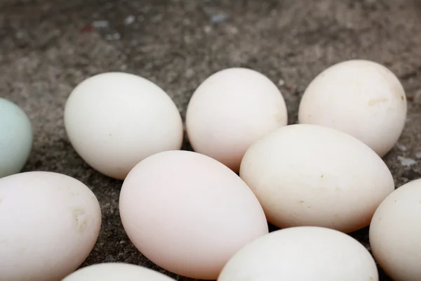 White eggs — Stock Photo, Image